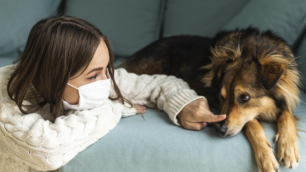 La prevención y la higiene la mejor arma para evitar los contagios entre personas y animales.