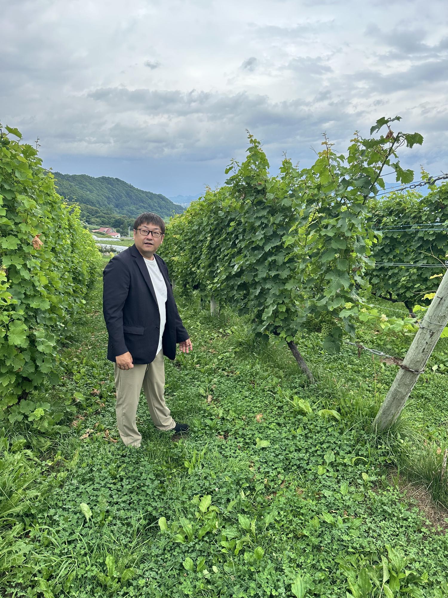 Visita en la bodega NIKI Hills.