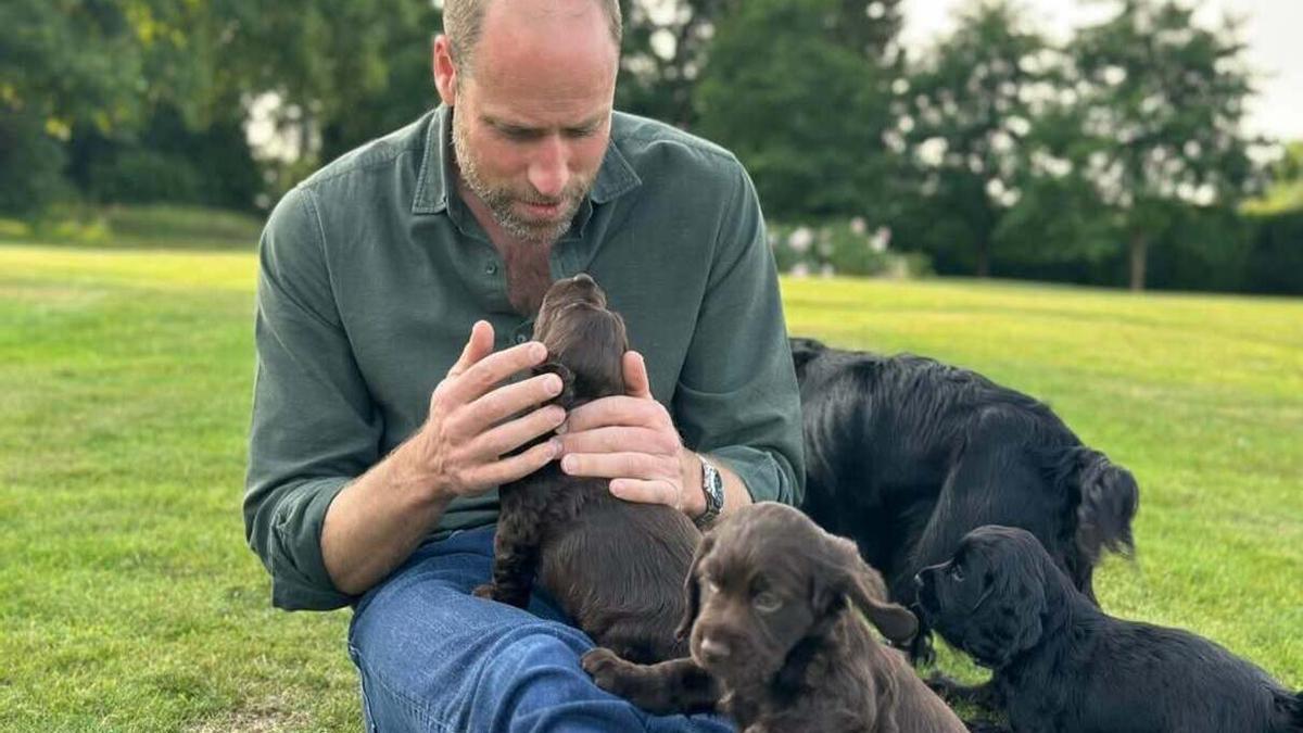 Imagen de cumpleaños del Príncipe Guillermo en sus redes sociales