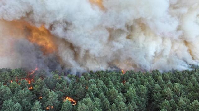 Un incendio, probablemente provocado, arrasa parte del emblemático bosque de Fontainebleau