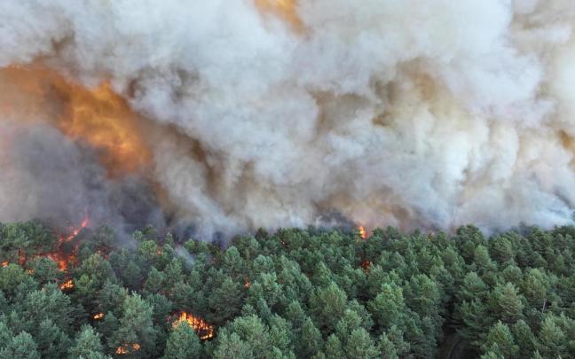 Un incendio, probablemente provocado, arrasa parte del emblemático bosque de Fontainebleau