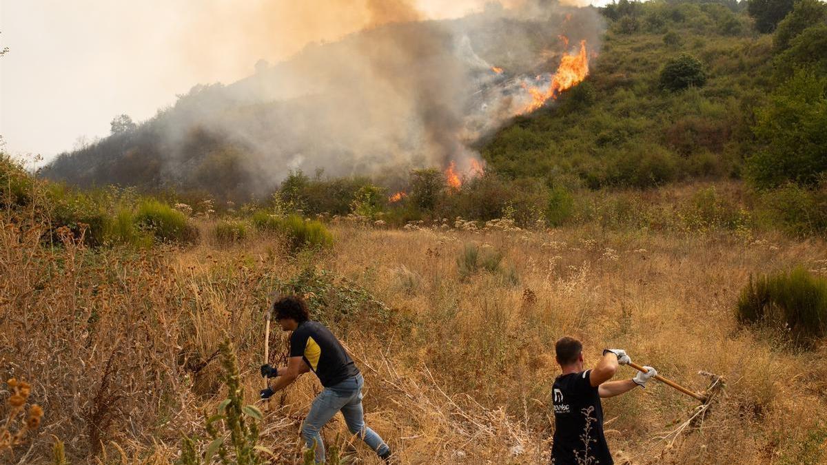 Los vecinos ayudan a evitar la propagación del fuego de un incendio en León.