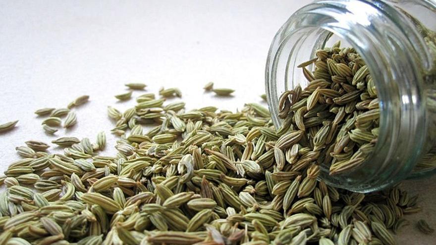 Semillas de hinojo