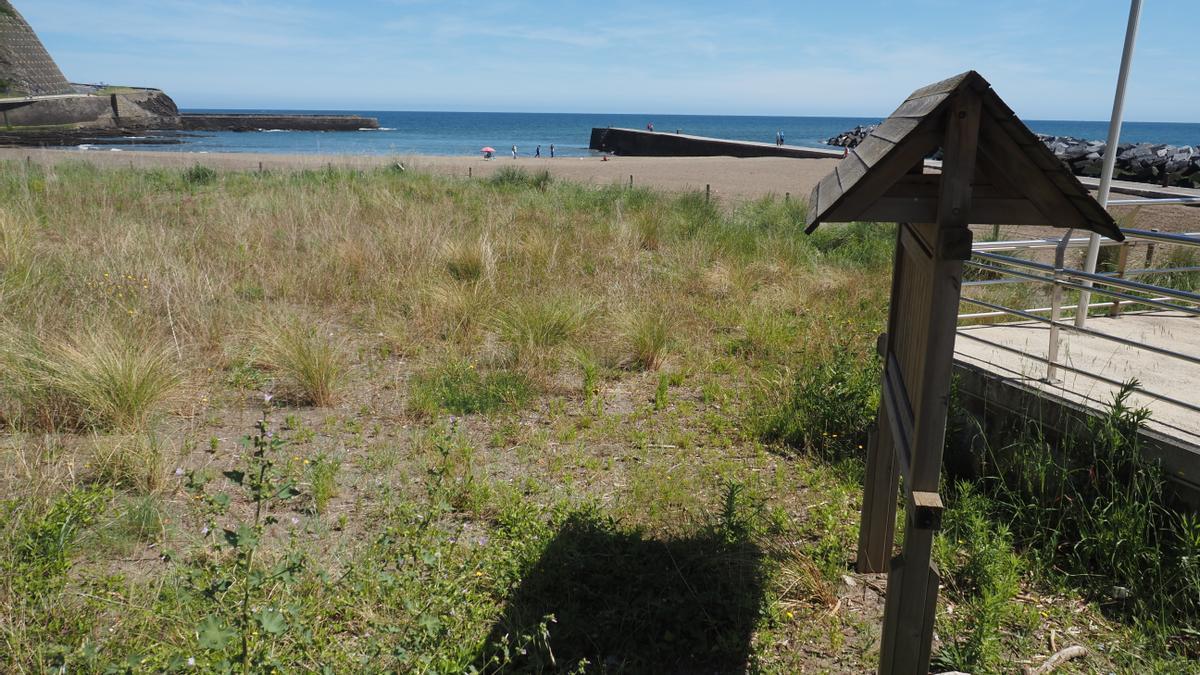 Vista de la playa de Ondarbeltz, incluida en el Plan del Estuario del Deba