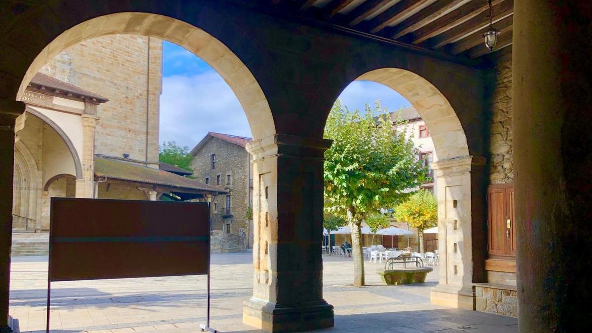 El Ayuntamiento busca proteger la biodiversidad