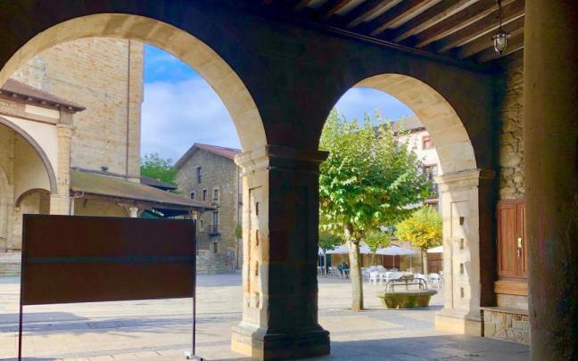 El Ayuntamiento busca proteger la biodiversidad