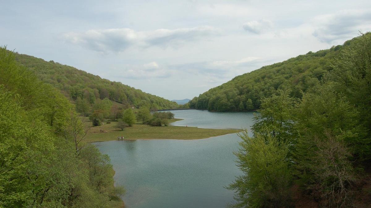 La fauna y la flora destacan en el embalse de Leurtza.