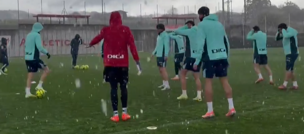 Imagen de la intensa granizada de hoy en Lezama 