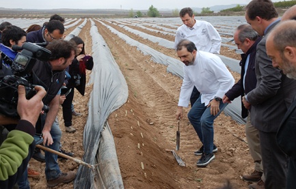 Cata del Primer esparrago de Navarra