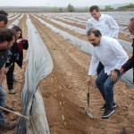 Cata del Primer esparrago de Navarra