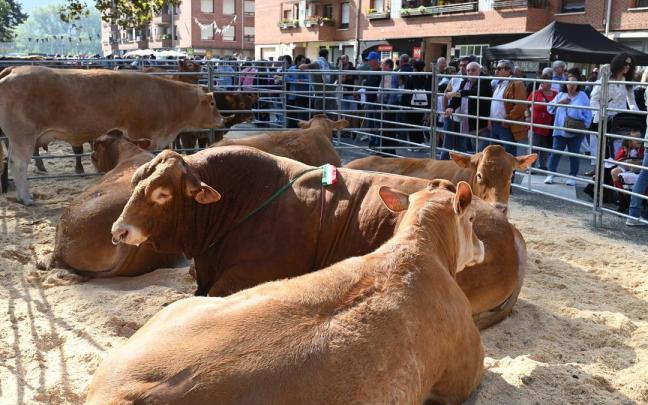 La feria de Gangas Eguna de Zalla ha batido su récord en el apartado ganadero, con 29 participantes.