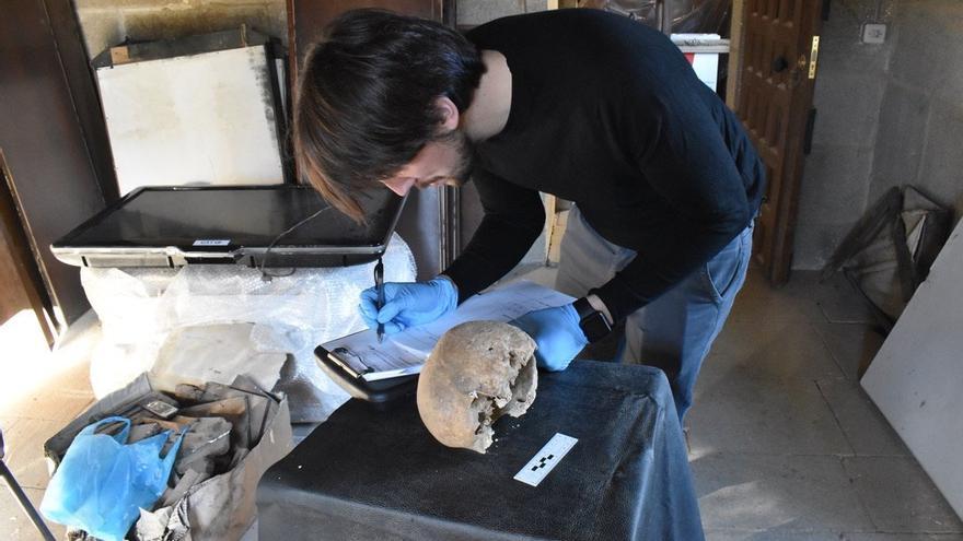 Un investigador examina restos del cráneo pertenecientes a Teodomiro.