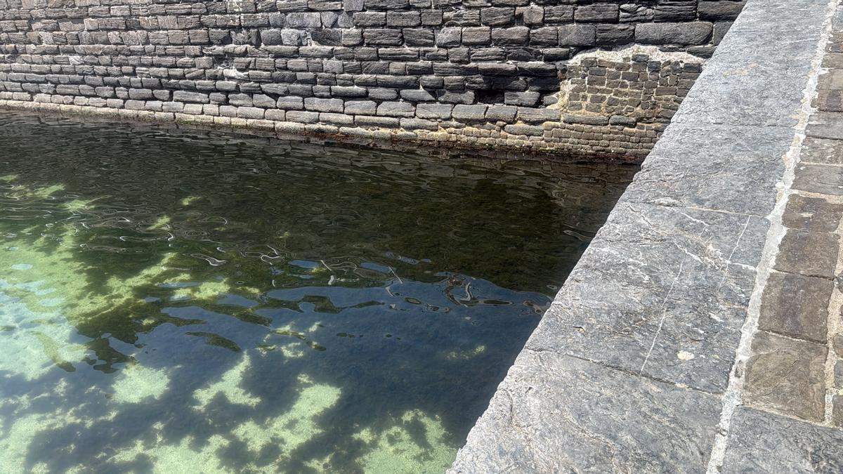 Las algas ocupan buena parte de la piscinas vieja del puerto de Mutriku tras ser arrastrada por las olas.