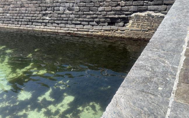 Las algas ocupan buena parte de la piscinas vieja del puerto de Mutriku tras ser arrastrada por las olas.