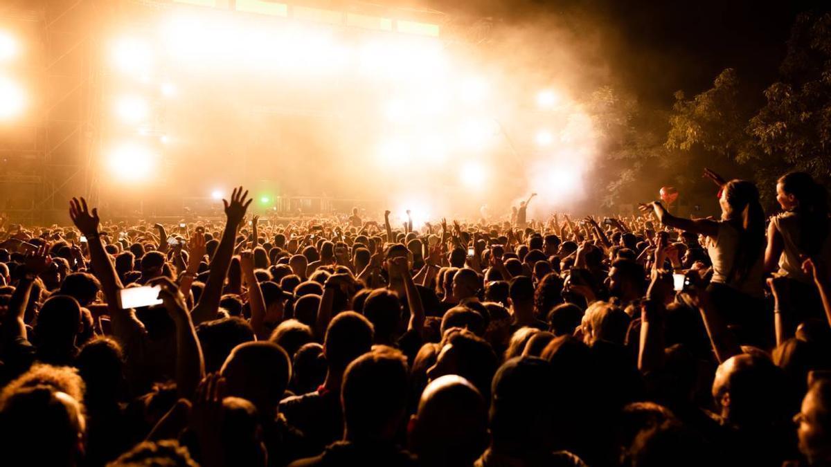 Una multitud disfruta de un concierto en directo