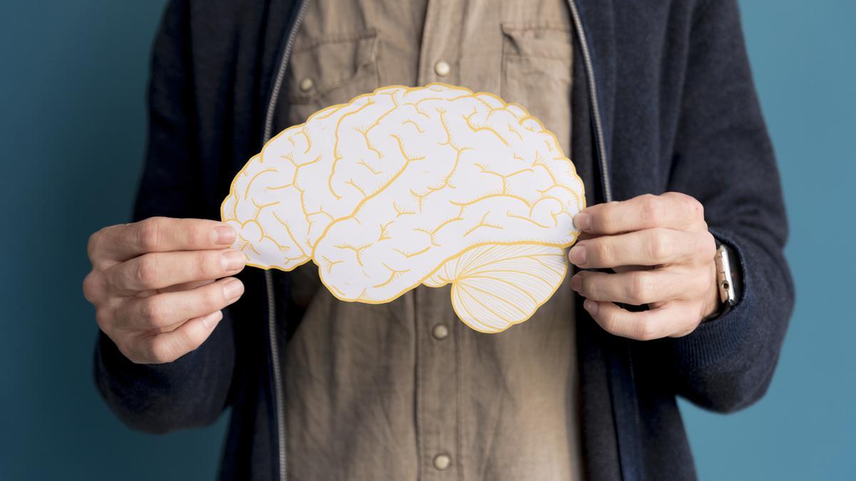 Dibujo de un cerebro en papel.