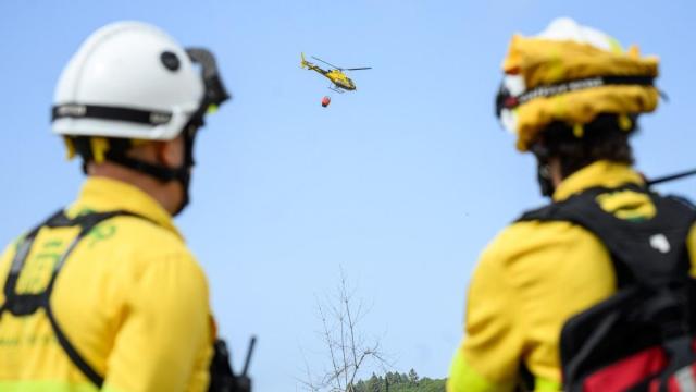 Brigadas forestales sofocando uno de los incendios que se han producido en la península.