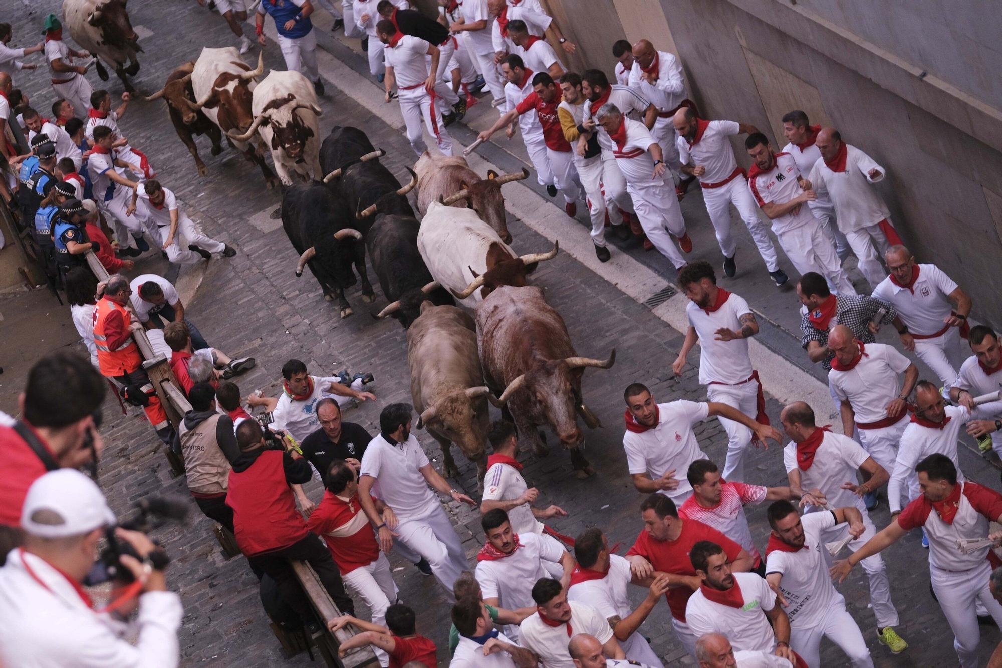 Manada agrupada en el lateral del ayuntamiento, con el jabonero en cabeza y el colorado cerrando. Foto: Iban Aguinaga