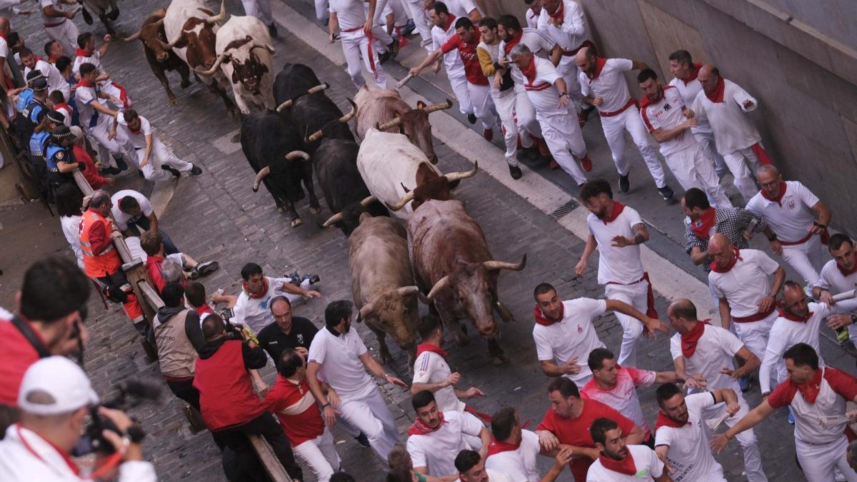 Manada agrupada en el lateral del ayuntamiento, con el jabonero en cabeza y el colorado cerrando. Foto: Iban Aguinaga