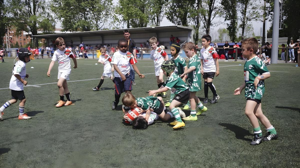 Varios niños pugnan por hacerse con un balón durante un partido de rugby.