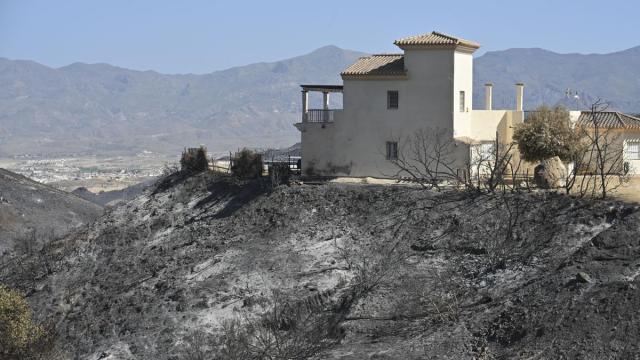 Zona afectada por el incendio en Los Gallardos.