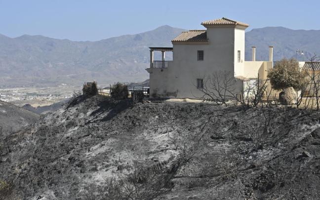 Zona afectada por el incendio en Los Gallardos.