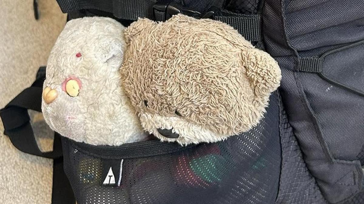 “Si alguien ve una mochila negra abandonada, le agradecería mucho que la revisara y se pusiera en contacto conmigo si encuentra mi Care Bear”, pide.