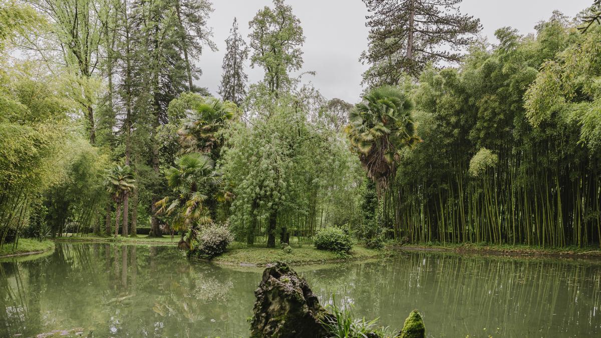 El Jardín Histórico, donde se pueden contemplar hasta 120 especies.
