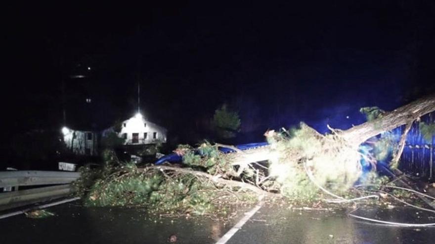 Las lluvias provocaron la caída de las dos torres