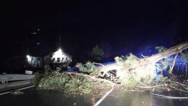 Las lluvias provocaron la caída de las dos torres