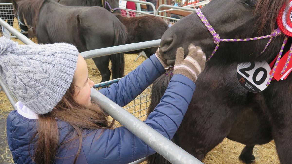 Una niña acaricia una pottoka en la feria del año pasado.
