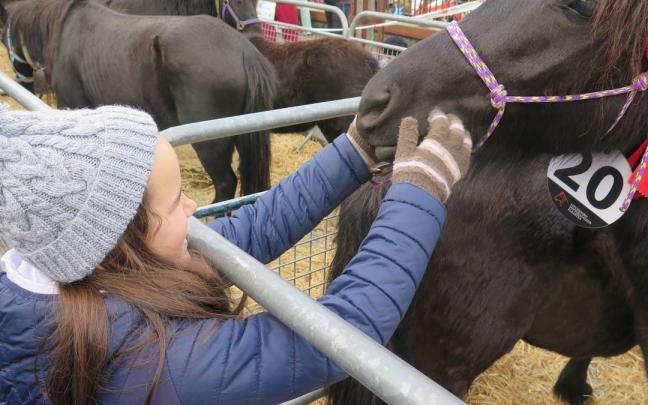 Una niña acaricia una pottoka en la feria del año pasado.
