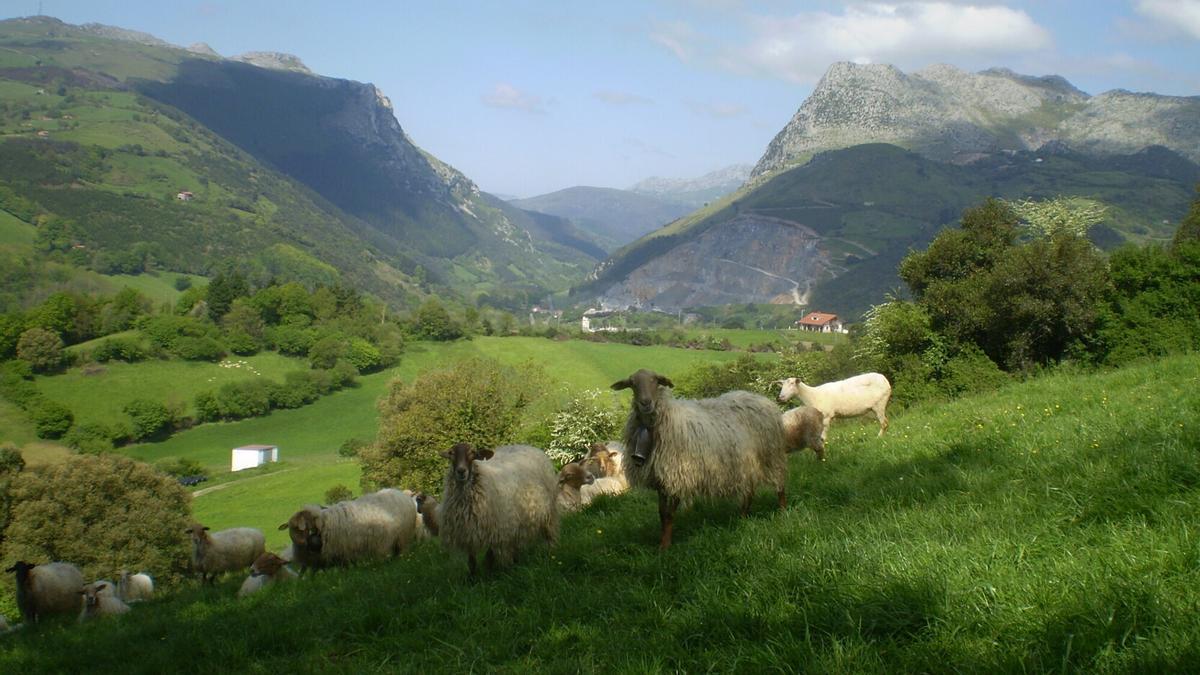 La naturaleza es un gran atractivo para el turismo rural en Euskadi (Karrantza).