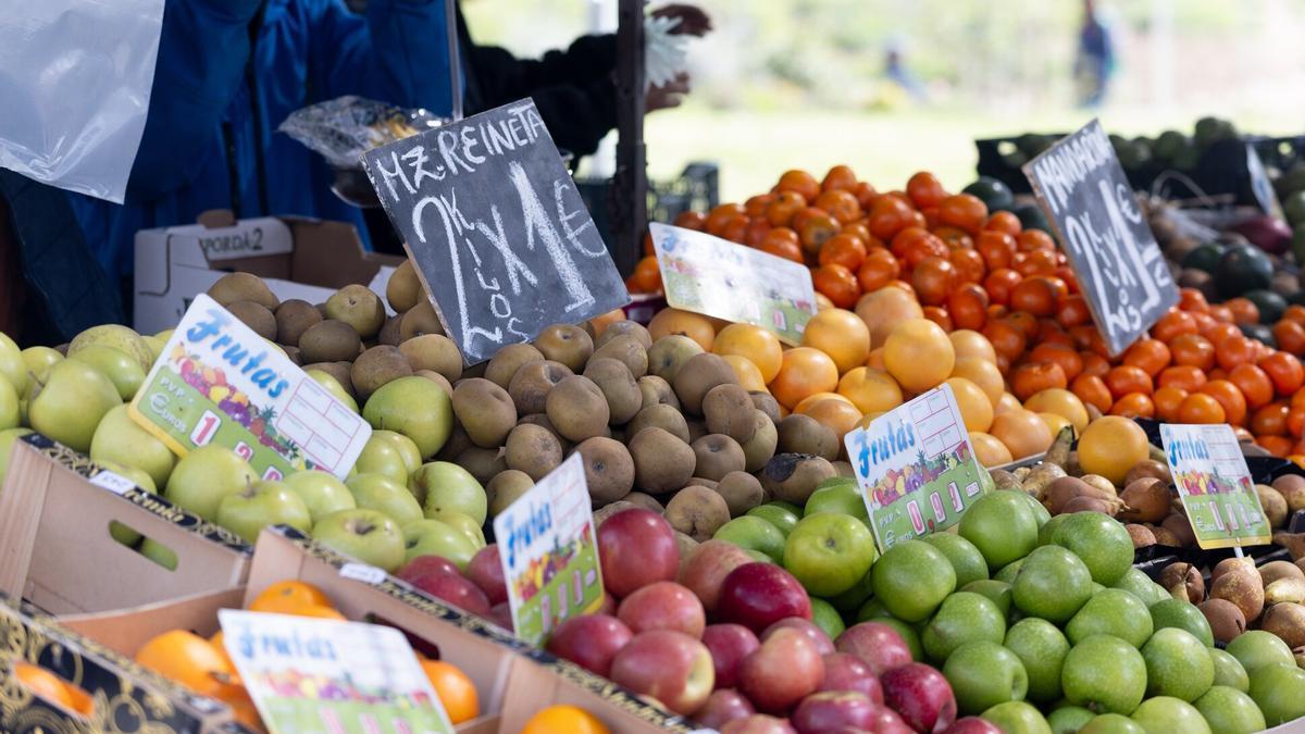 Alimentos indicados para favorecer la salud renal