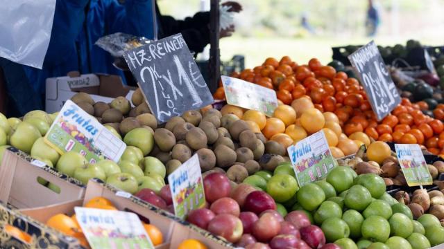 Alimentos indicados para favorecer la salud renal / E.P. Alimentos indicados para favorecer la salud renal
