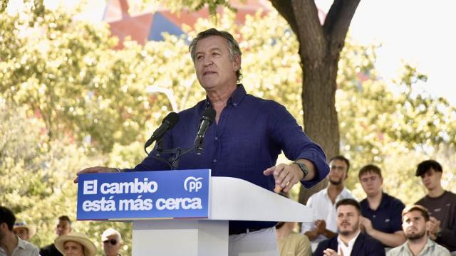 El presidente del partido Alberto Núñez Feijóo .