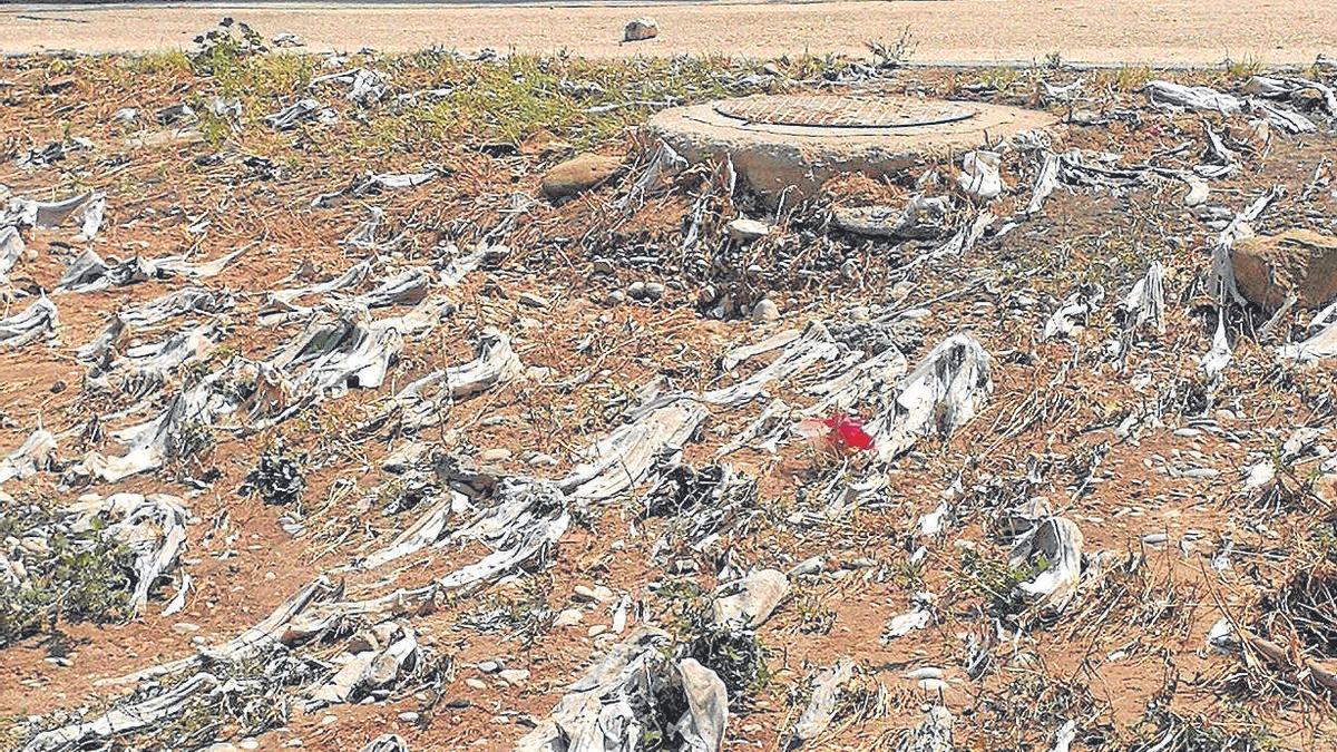 Los residuos acumulados pueden contaminar ríos y mares.