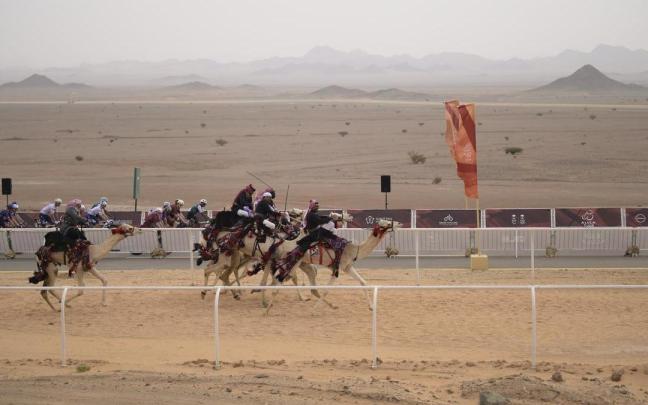 Una carrera de dromedarios en paralelo al pelotón.