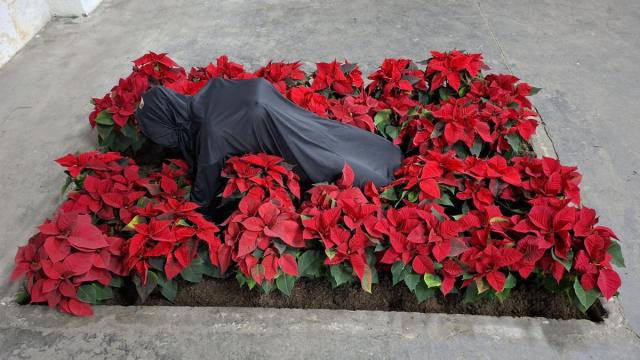 El artista multidisciplinar cuenta con perfil en redes sociales: '@ube.uberuaga'.