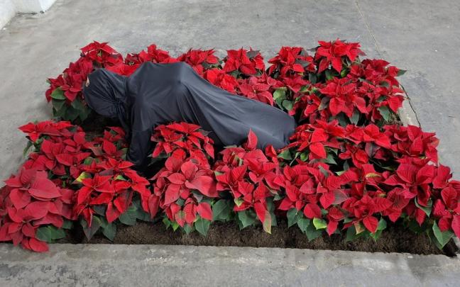 El artista multidisciplinar cuenta con perfil en redes sociales: '@ube.uberuaga'.