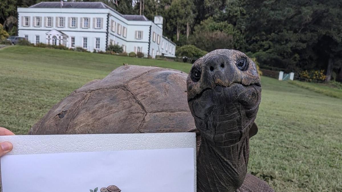 Imagen de la tortuga Jonathan, el animal más longevo del mundo con 194 años