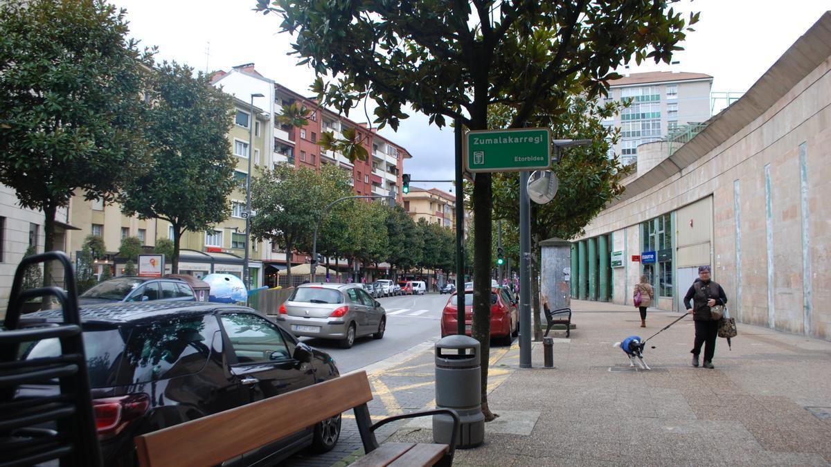 Una vecina pasea con su perro por la céntrica Avenida Zumalakarregi en Laudio