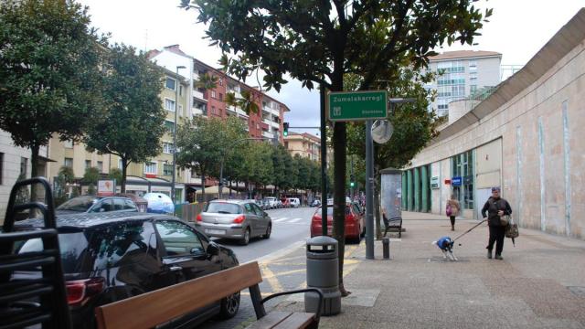 Una vecina pasea con su perro por la céntrica Avenida Zumalakarregi en Laudio