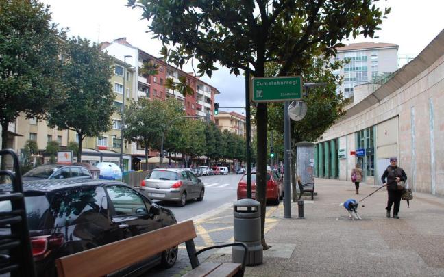 Una vecina pasea con su perro por la céntrica Avenida Zumalakarregi en Laudio