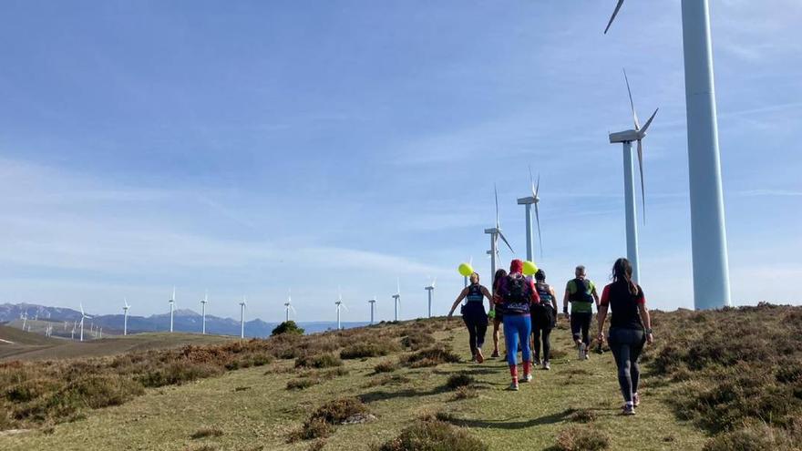 Los molinos, los grandes ausentes de este año