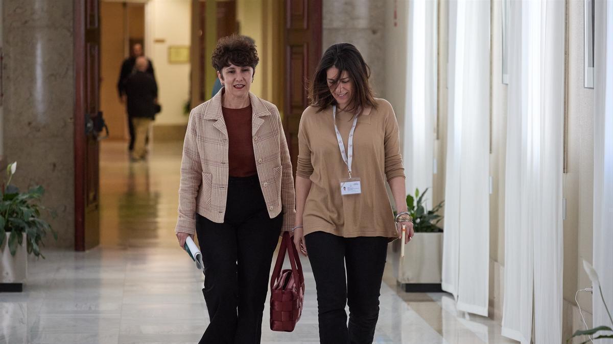 La portavoz del PNV en el Congreso, Maribel Vaquero.