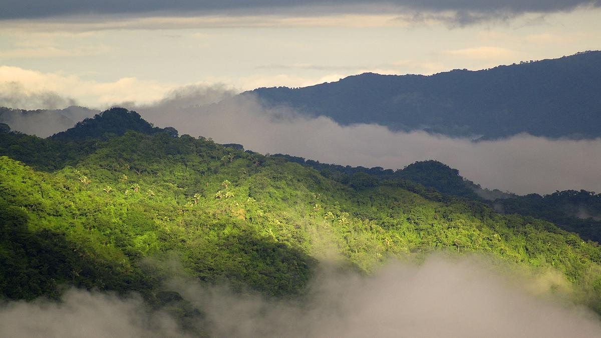 Vista de la reserva biológica Durika.