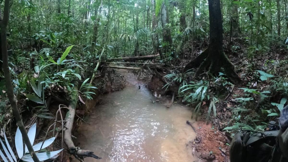 La zona de la selva colombiana en la que buscan a los menores.