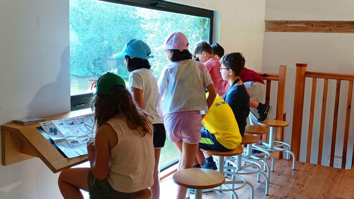 Foto de una edición anterior de los campamentos Fde verano de Ekoetxea Txingudi, en Irun.