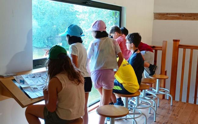 Foto de una edición anterior de los campamentos Fde verano de Ekoetxea Txingudi, en Irun.
